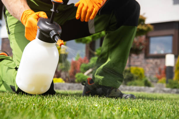 Best Termite Control Services  in Oriska, NY