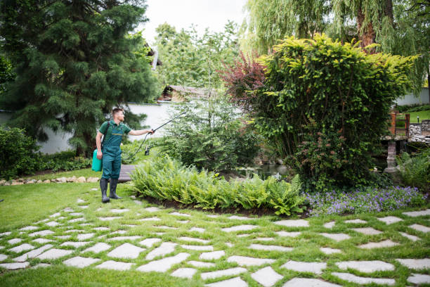 Best Ant Control Services  in Oriska, NY