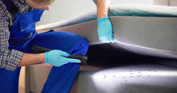Best Residential Pest Control  in Oriska, NY