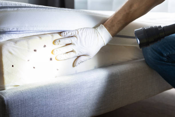 Best Exterminator Services  in Oriska, NY